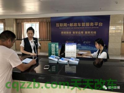有用：更换整车办事指南_交通业务办理  第3张