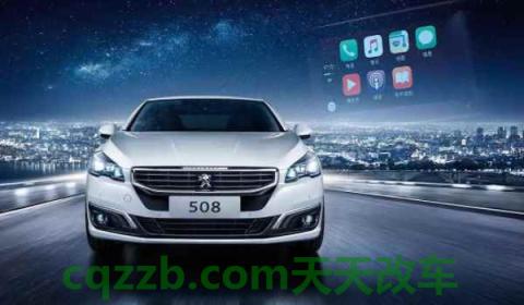 狮子标志是什么车 牌子(法国标致雪铁龙集团成立时间)  第2张