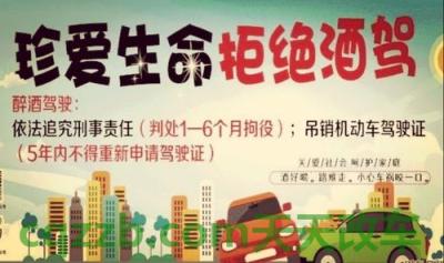 车友：酒驾的危害有哪些_交通问题  第3张