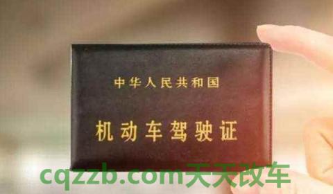 怎么查自己驾驶证状态(机动车驾驶证报考年龄限制)  第3张
