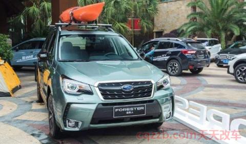 森林人是什么牌子的车(森林人是什么时间推出的)  第2张