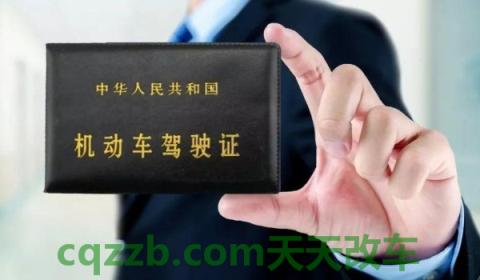 驾驶证副本丢了怎么补办(驾驶证需要怎样获得)  第2张