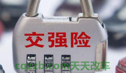 讲授：强制保险标志2021还用贴车上吗(交强险在哪里购买)  第2张