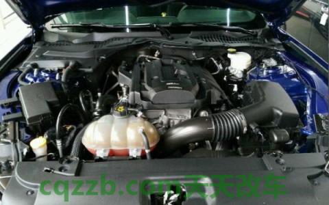 野马是什么牌子(新款福特野马怎么样)  第3张