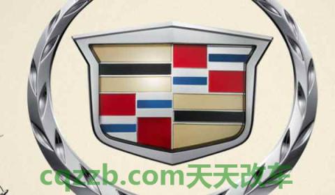 凯迪拉克发动机故障灯亮是什么原因(车辆保养如何提示)  第3张