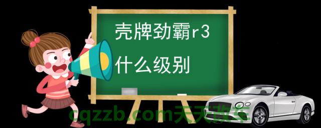 壳牌劲霸r3什么级别(壳牌r3机油怎么样)  第1张
