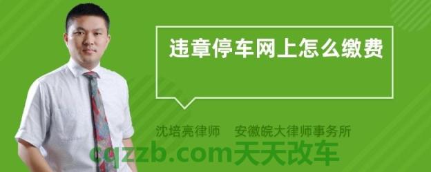 车友：违章停车能网上缴费吗_交通问题