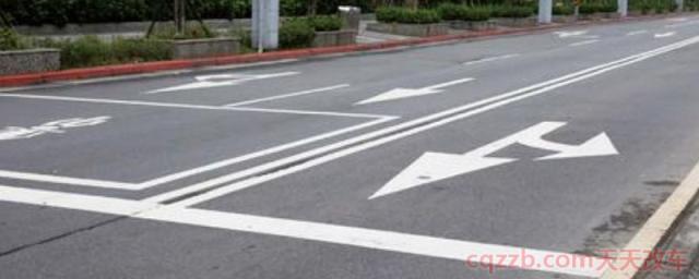 双白实线是什么意思(路面上的线分为几种)