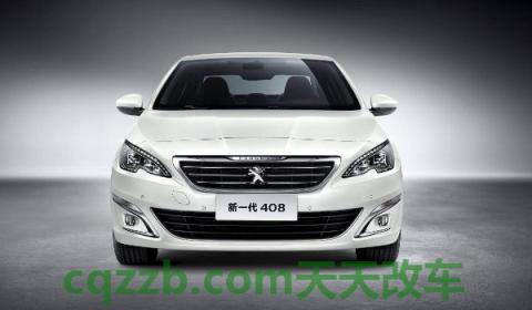 标致408sservice故障灯清除(标志408的厂商指导价)  第2张