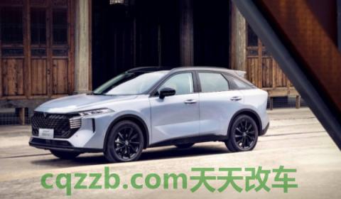 揭秘一下：启辰大v的发动机是日产的吗(启辰大v的车身尺寸数据是什么)  第3张