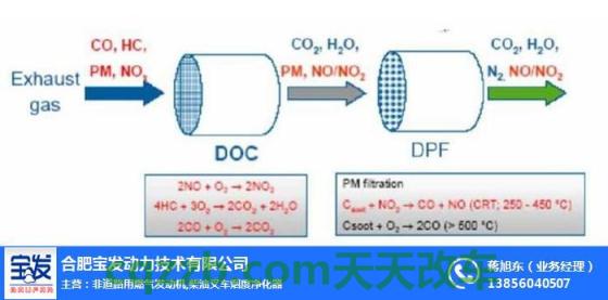 解答：dpf是什么意思 dpf是什么意思网络用语