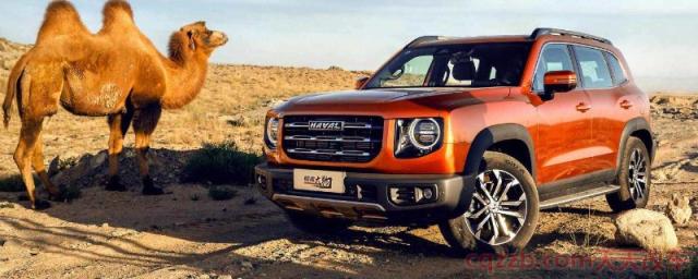 哈弗大狗车身尺寸(哈佛大狗有几个版本) 第1张