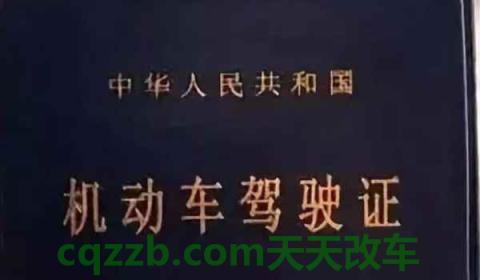 驾驶证最后一天扣分算哪年的(如何查看机动车驾驶证分数)  第3张