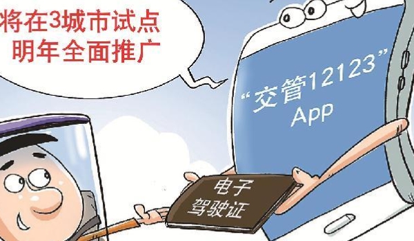分享一下：电子驾驶证有什么坏处(电子驾驶证为什么无法领取)  第3张