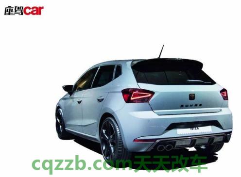 车问答:CUPRA_什么是CUPRA 第2张