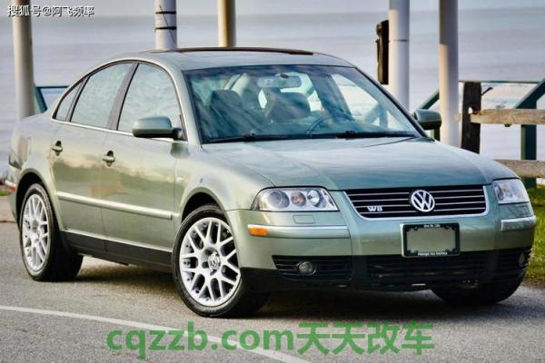 车回答：2003年大众帕萨特W8 2000 年福特 F-150 XLT 是伪装的增压野马  第2张