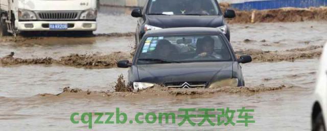 为啥车牌容易被水冲掉(号牌丢失在哪里补办)