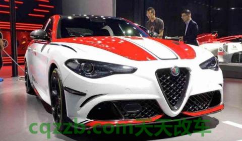蛇形标志的车什么牌子(阿尔法罗密欧)  第3张