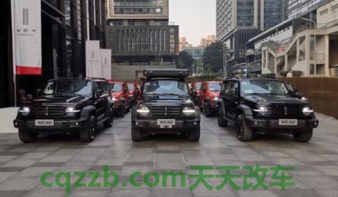 详谈：TANK是什么车(坦克300的底盘转向系统是什么)  第2张