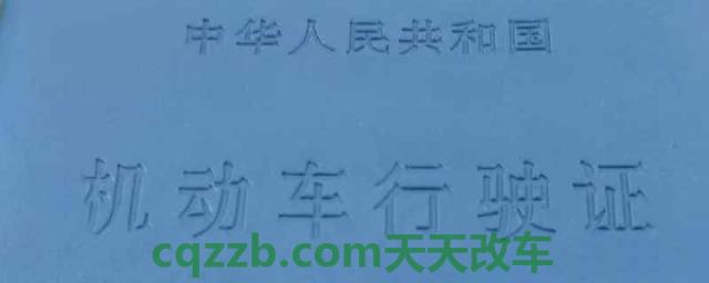 车辆行驶证丢了怎么办(车辆行驶需要携带行驶证)