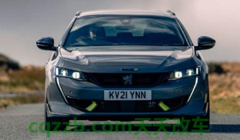 科普：像狮子的车标是什么车(标志408的车身尺寸数据是什么)  第2张