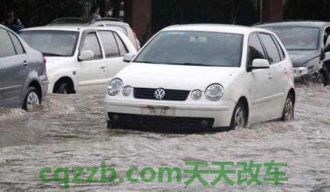 怎么查车牌办理进度查询(车牌安装位置是固定的吗)  第3张