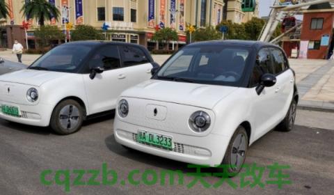 说说:欧拉黑猫是什么牌子的车(欧拉黑猫的底盘转向系统是什么) 第3张