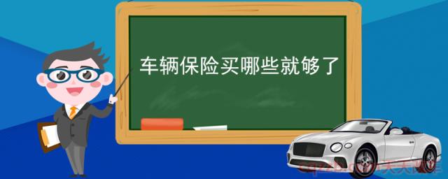 车辆保险买哪些就够了(汽车必买险种)  第1张