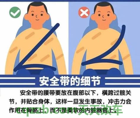 车知识：安全带提醒_什么是安全带提醒  第2张