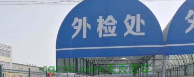 解读一下：车检去哪里车检(机动车辆年检可以提前多久)