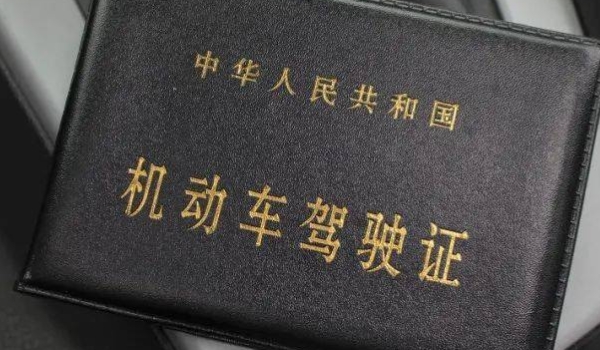 普及：驾驶证副页丢了严重吗(机动车驾驶证如何获得)  第2张