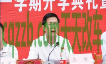 疑问：苏晖_什么是苏晖  第2张