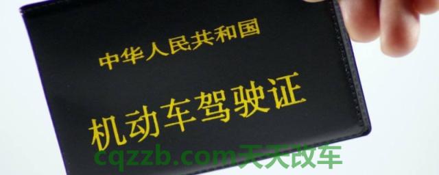 科普一下：驾驶证电子版可以不带驾驶证吗(交管12123收费吗)  第1张