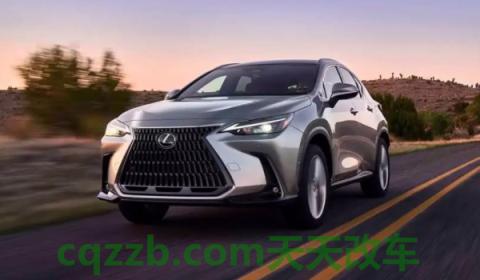 科普:雷克萨斯保养是终身免费的吗(雷克萨斯车型保养需要去哪里) 第2张