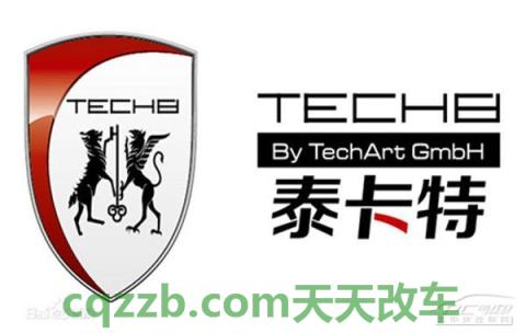 解答：泰卡特_什么是泰卡特