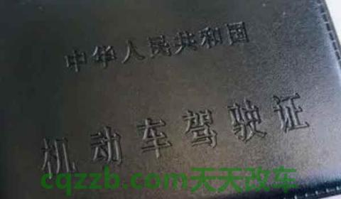 怎样查询驾驶证还有多少分(机动车驾驶证在哪里获得)  第2张