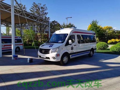 有用:福田图雅诺是国产车吗 福特最近发布了一份技术服务公告来解决这个问题 第3张