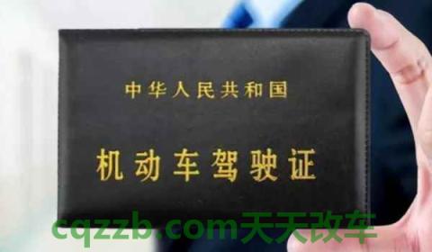 路边黄网格是什么标志(车辆违章违法行为可以不处理吗)  第2张