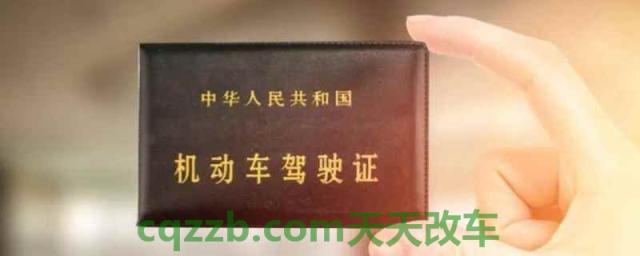 刚拿驾驶证有多少分(获得驾驶证多久后可以驾驶车辆)