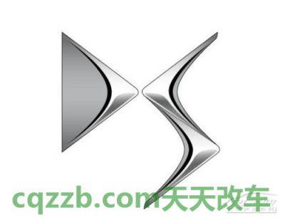 问题：DS_什么是DS  第1张