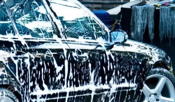 车里面的蚊子跟着车飞吗(车辆多久清理一次)  第3张