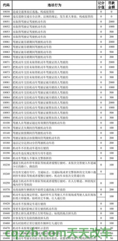 疑问：厦门交通违章查询 山东sb车牌号代表什么意思