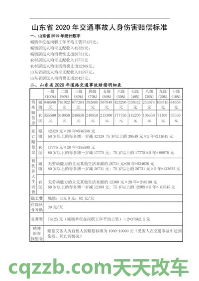 分享：2018年交通事故一级伤残赔偿标准_交通业务办理  第2张
