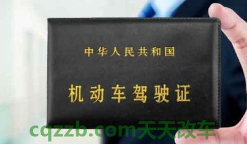 驾驶证换证本人不去可以办理吗(可以在网上换证吗)  第3张