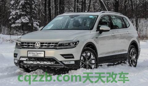 解说：途观颗粒捕捉器是什么东西(途观的生产厂商是哪里)  第3张