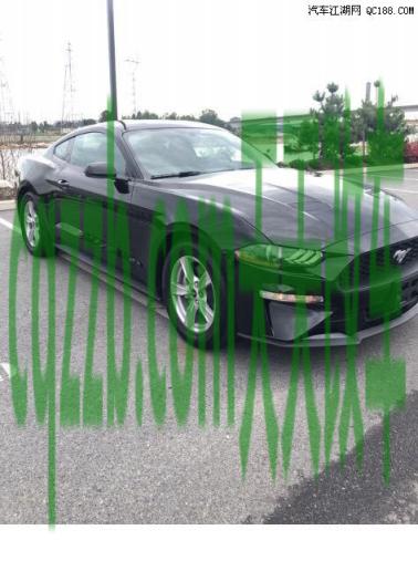 问答：野马汽车_什么是野马汽车  第3张