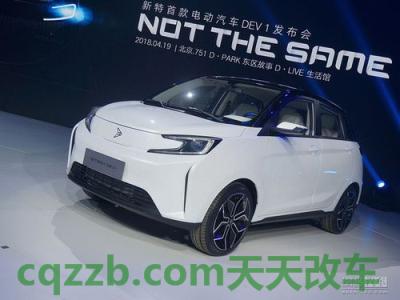 汽车有用：新特汽车_什么是新特汽车  第1张