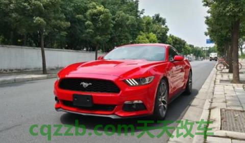 奔跑的马是什么牌子的车(野马车型厂商指导价)  第2张