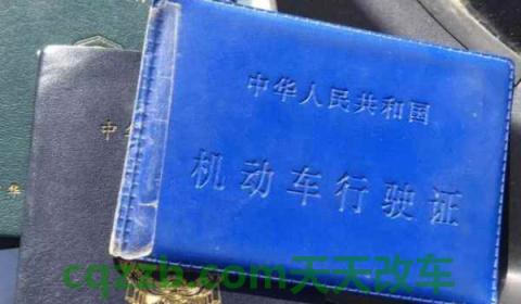 驾照被锁定了去哪里解锁(机动车驾驶证丢失怎么补办)  第3张