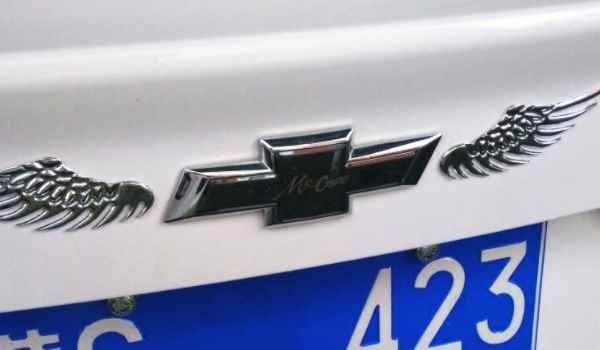 狮子头车标是什么车(车辆改装到哪里备案)  第2张